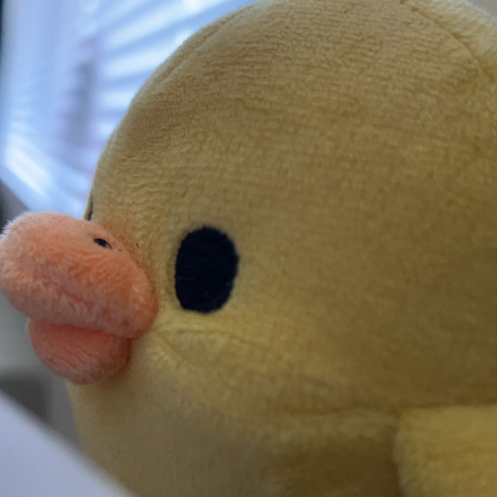 .𖥔 ݁ ˖ Meeep (미프) .𖥔 ݁ ˖
