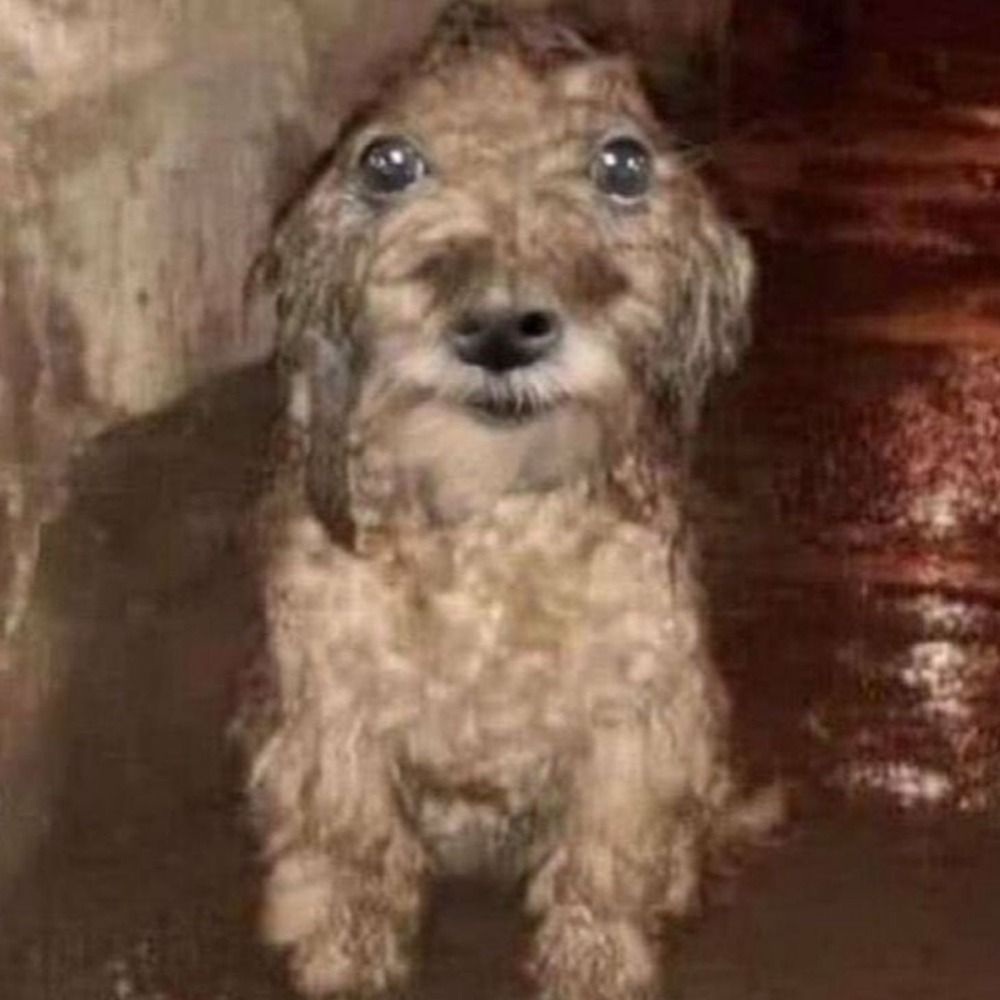 ▓░▓░▓░▓░▓░▓░▓░▓░▓░▓░▓░▓░▓░▓░▓