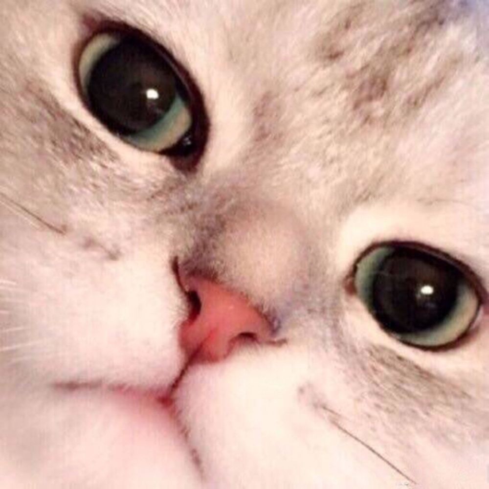 뚜잉