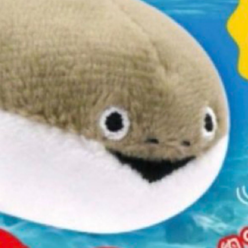 バスぴ