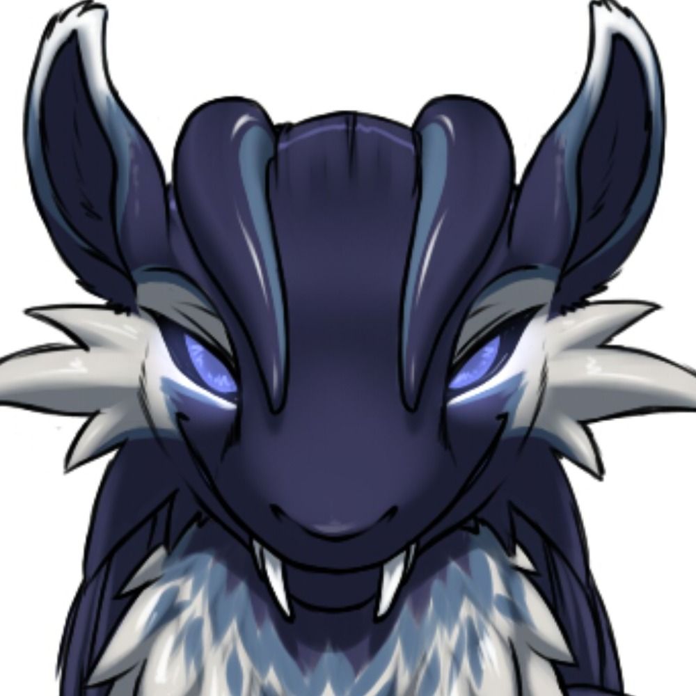 Zilkas