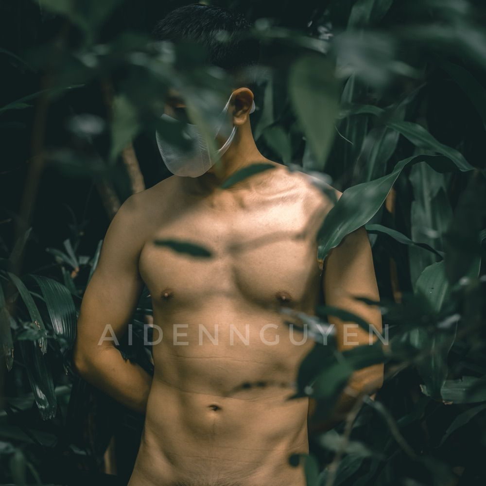 Aiden Nguyen 