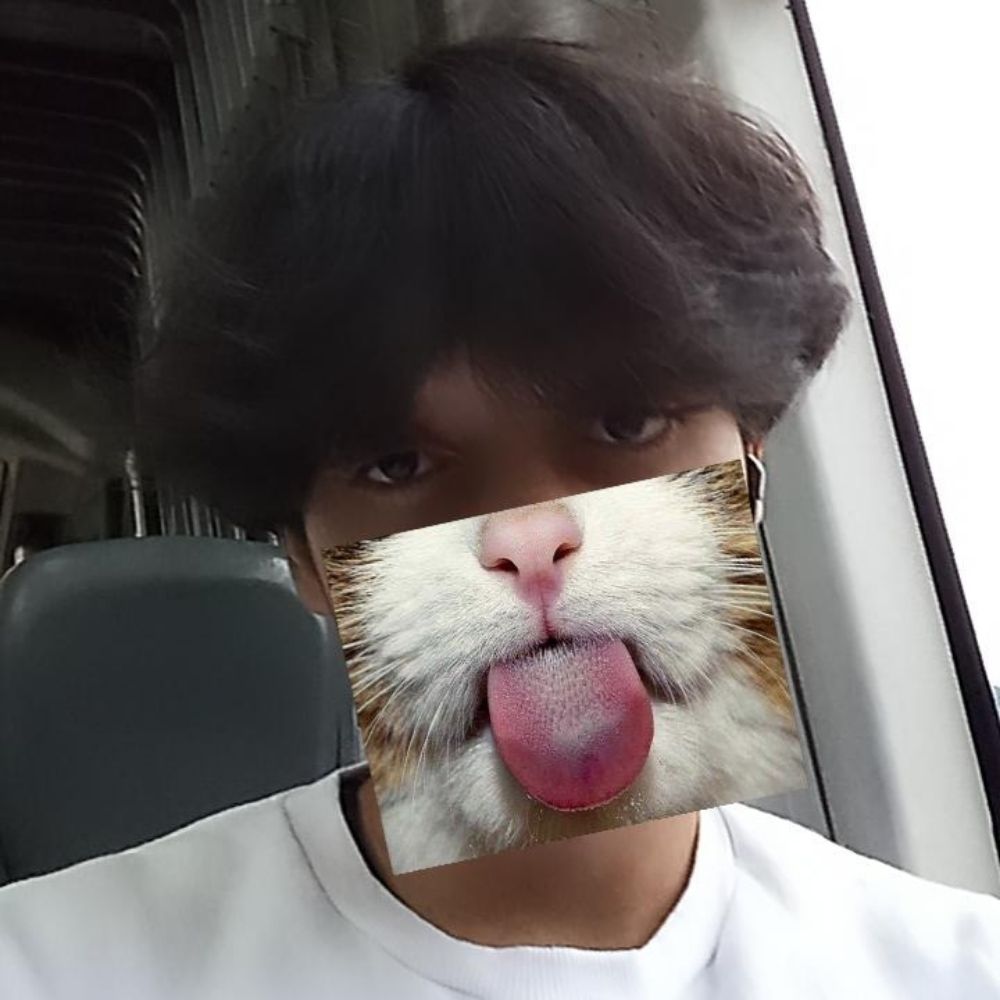 vini
