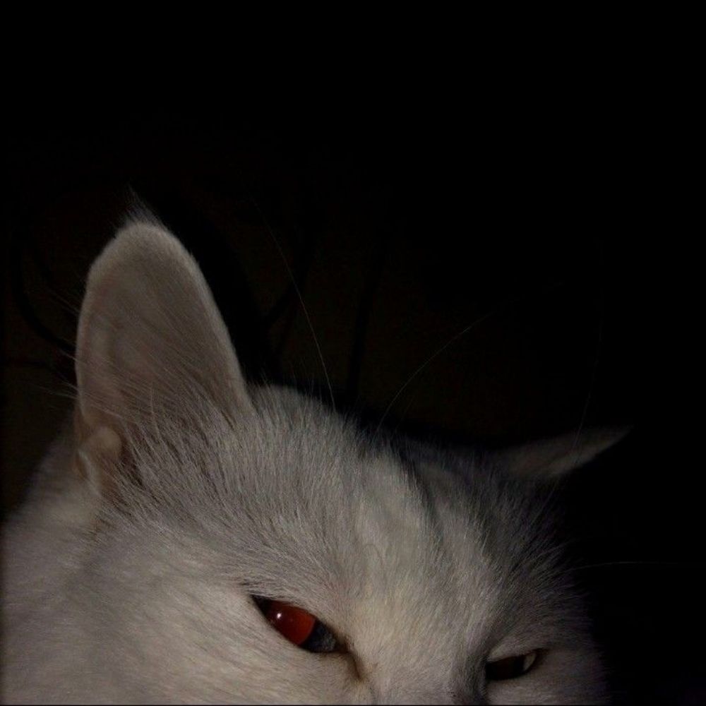 𝑫𝒊𝒐