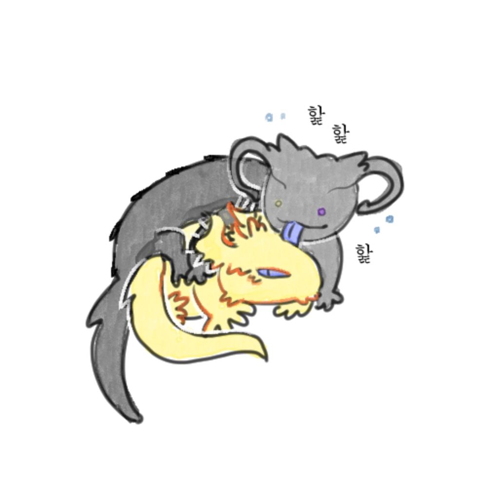 욘