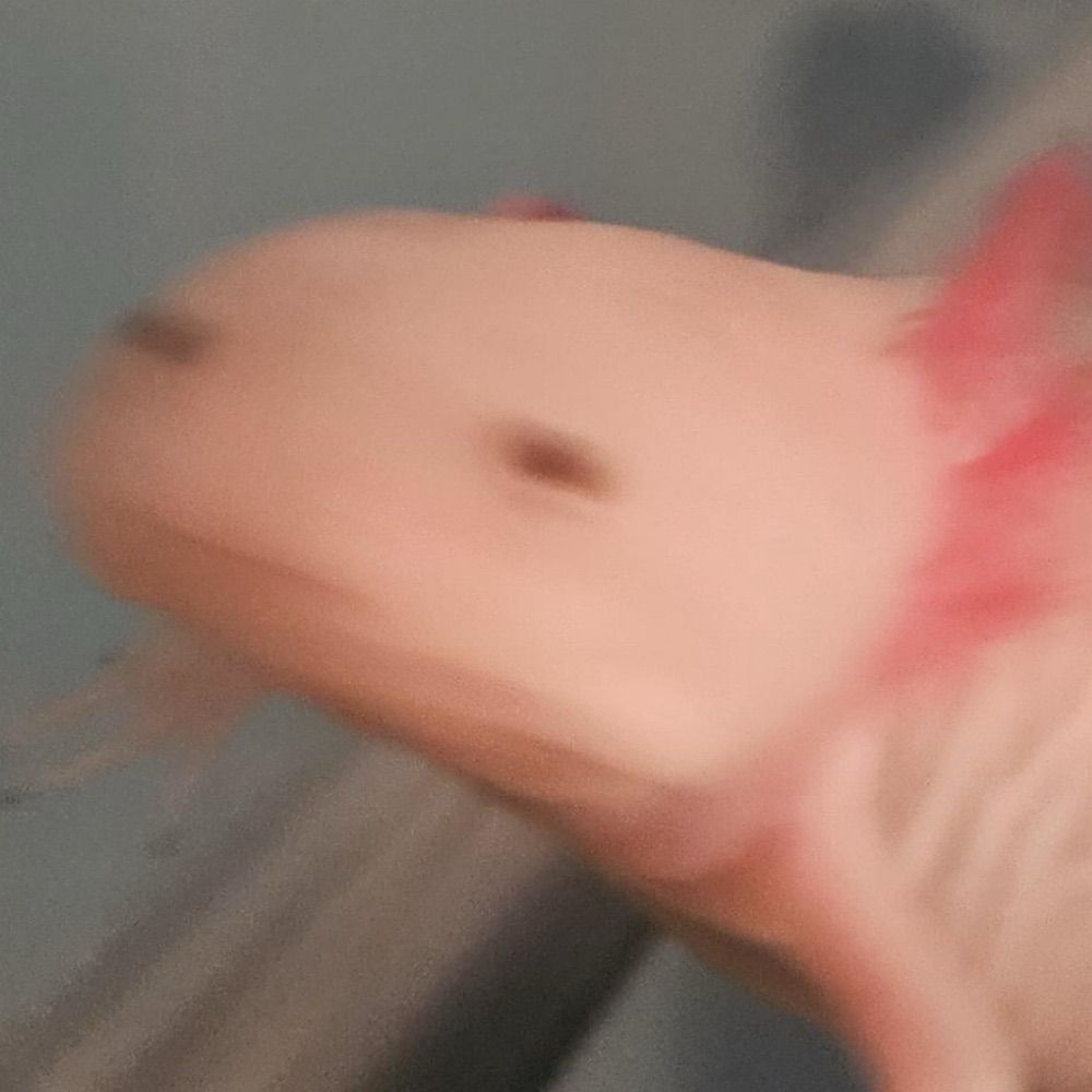 Aleaf