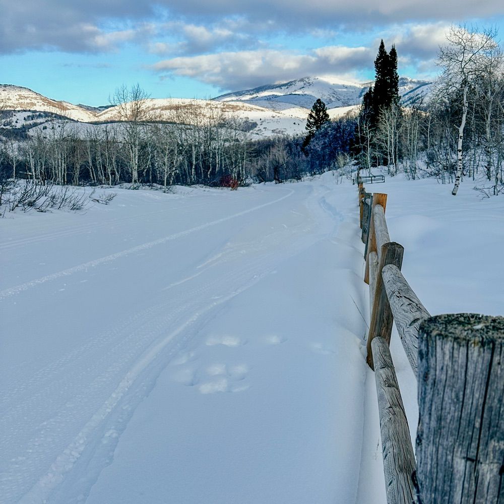 Slow skier