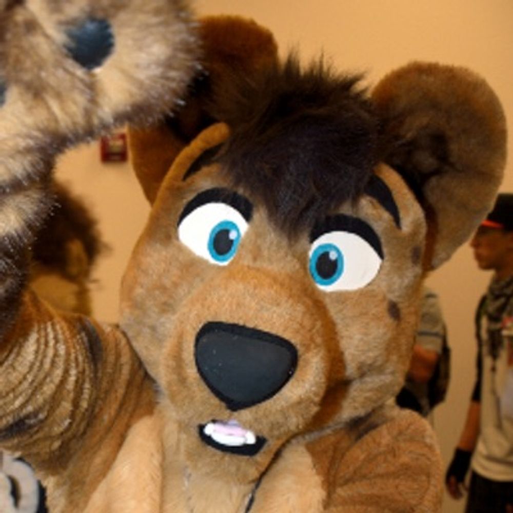 Mazer Hyena