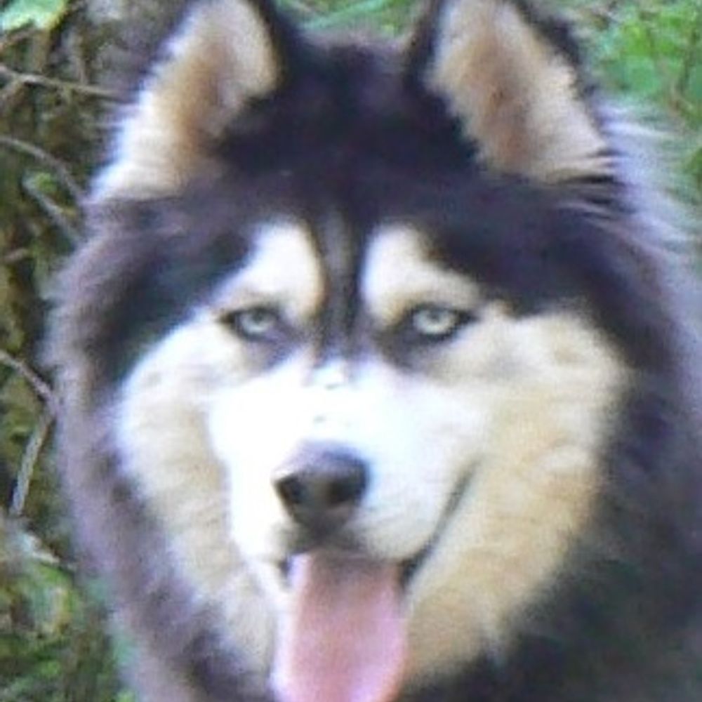 billyO