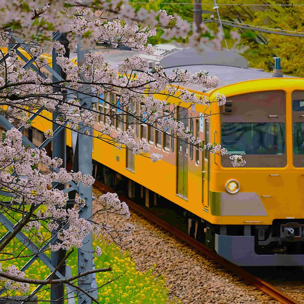 Newいちまるいち