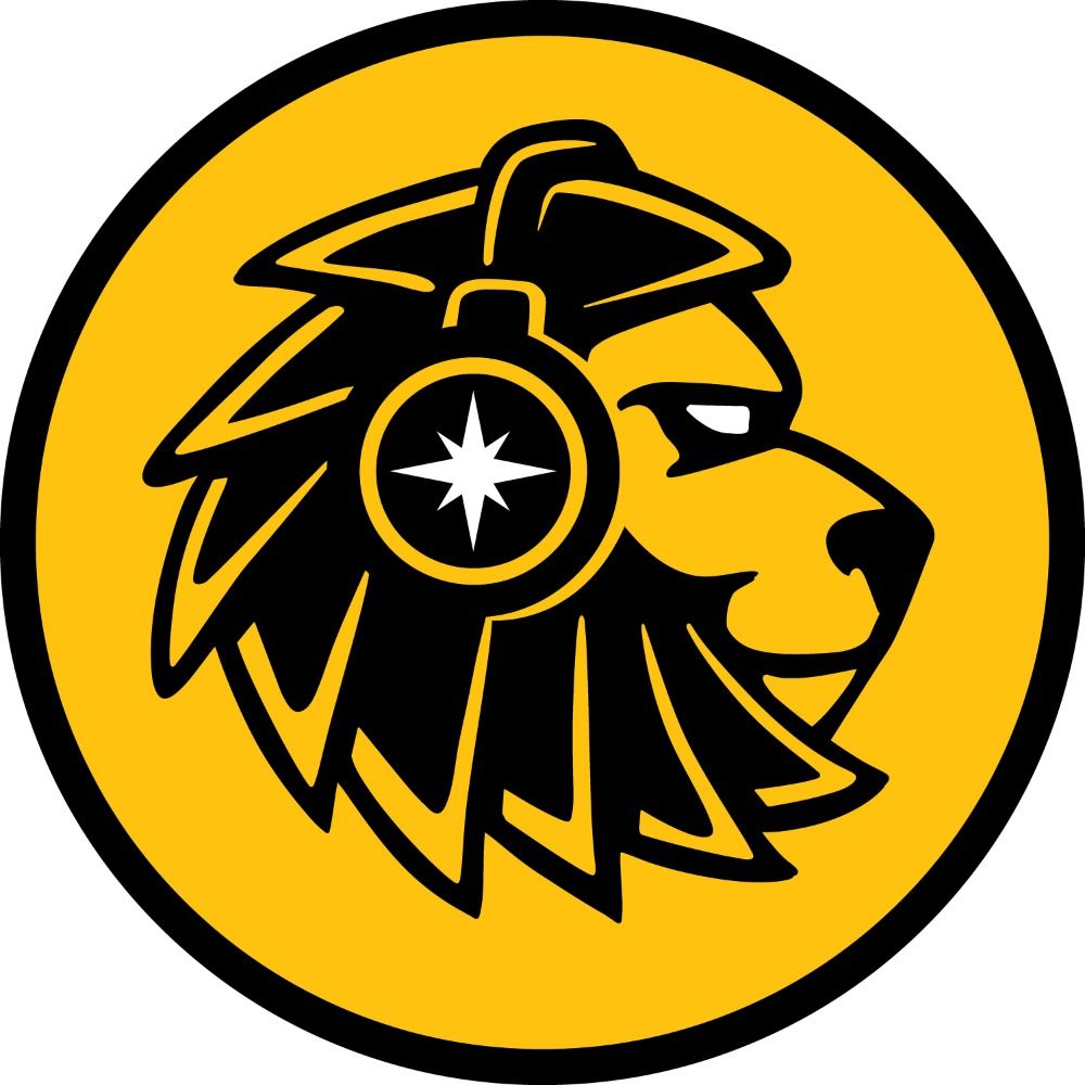 Cosmic Lion Productions