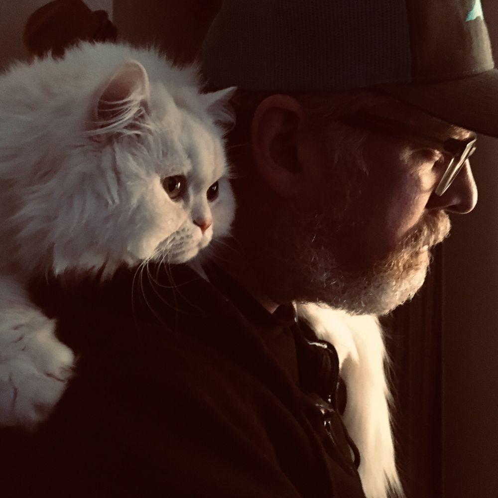 Scott Cheshire