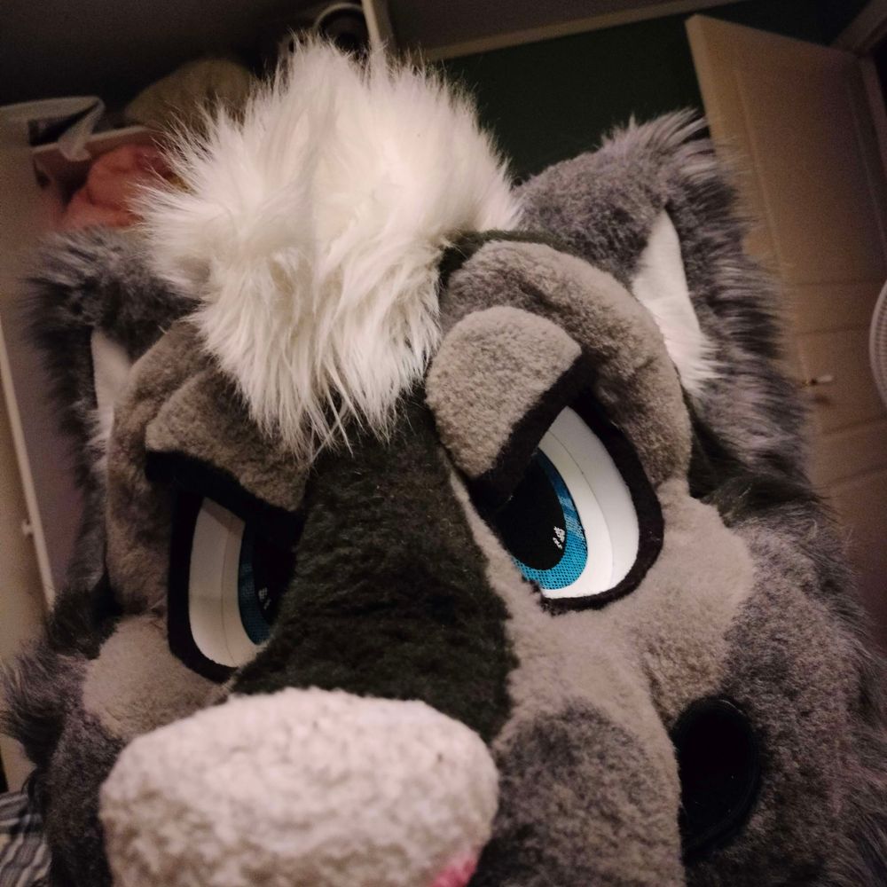 Viking wuff