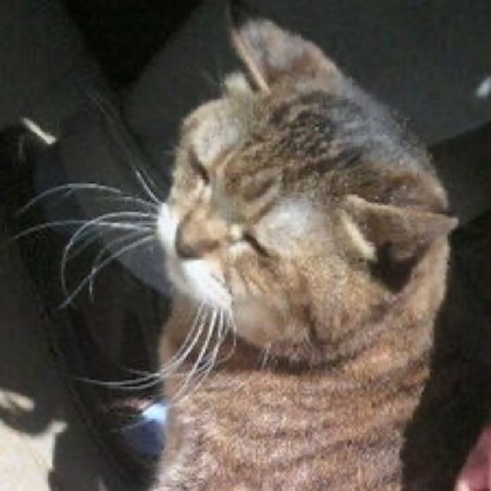 おにぎり