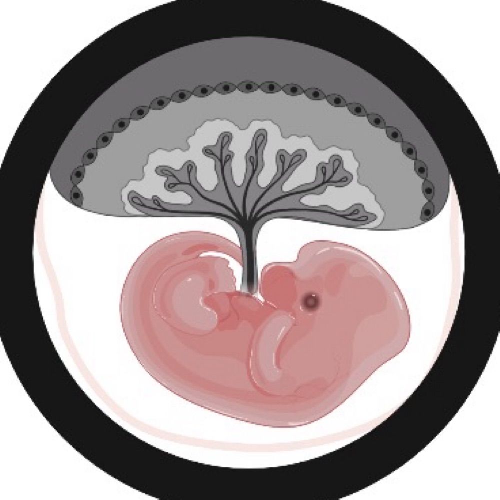 Rizzuto lab