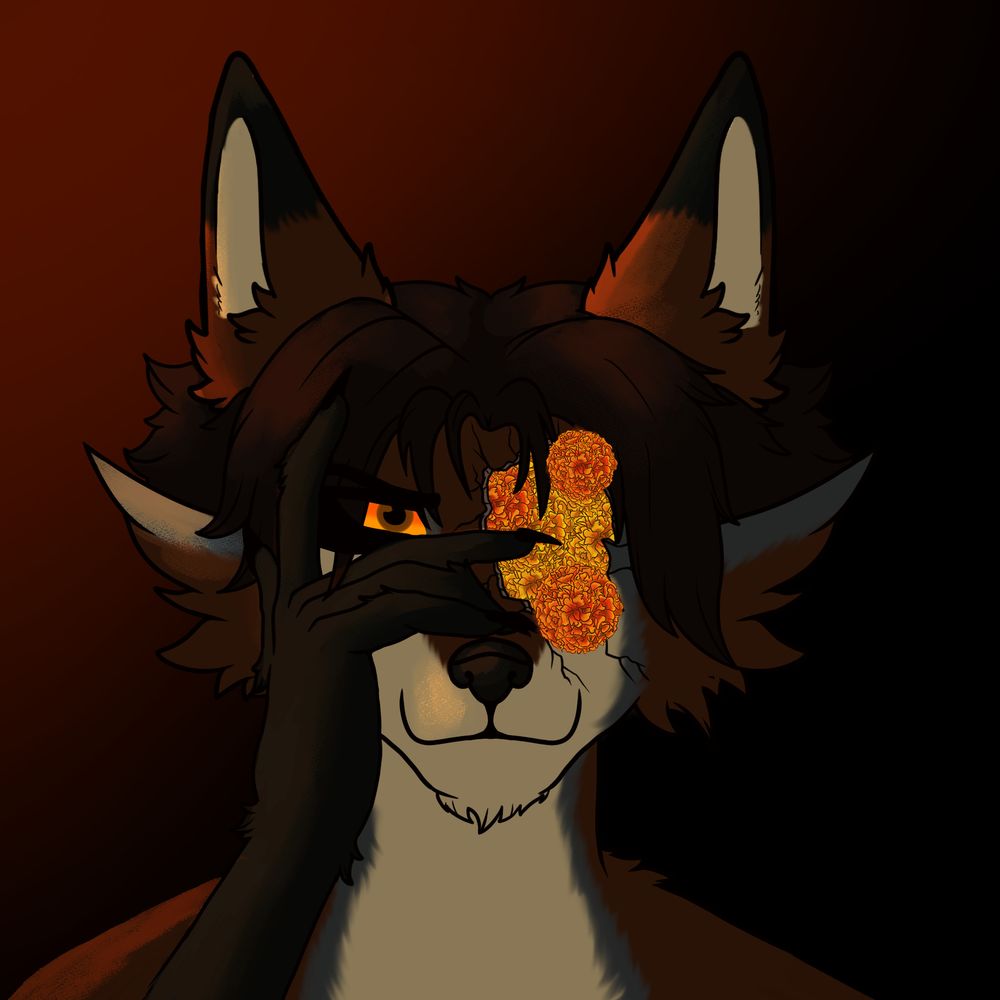 Koyote Tlakoyo