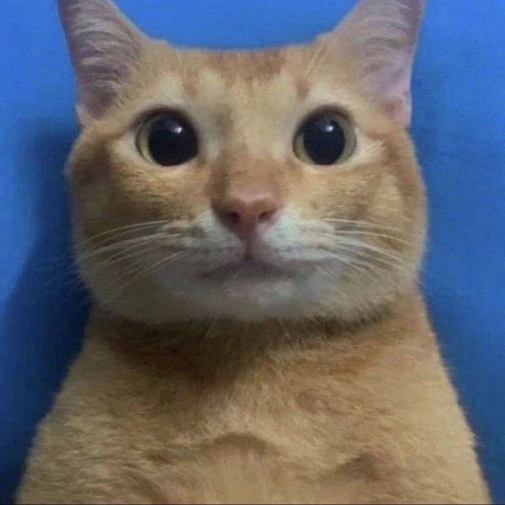 Samu