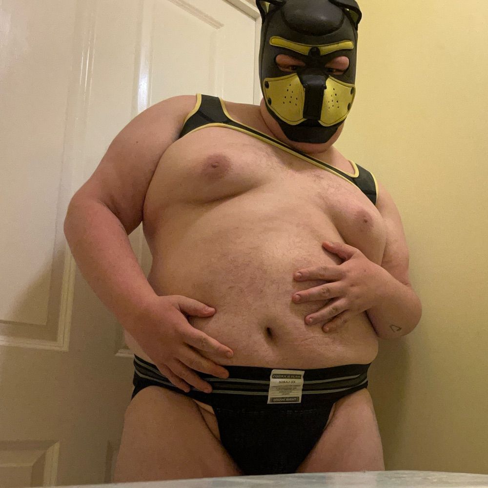 Piggypupldn 🐽🐶 (pup jaminson)