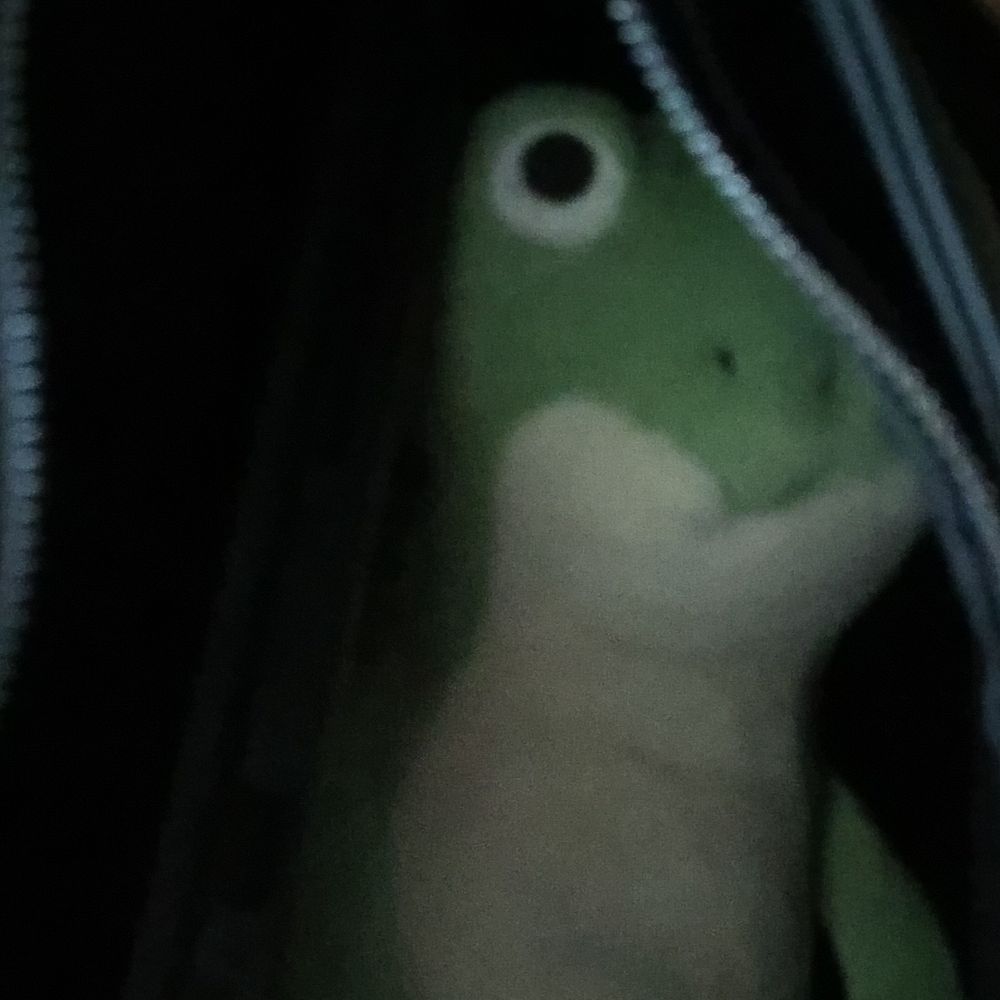 Wurmkur