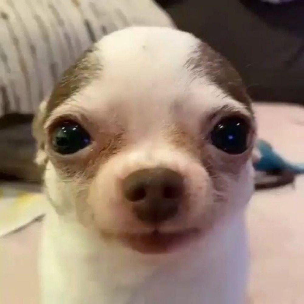 광내광