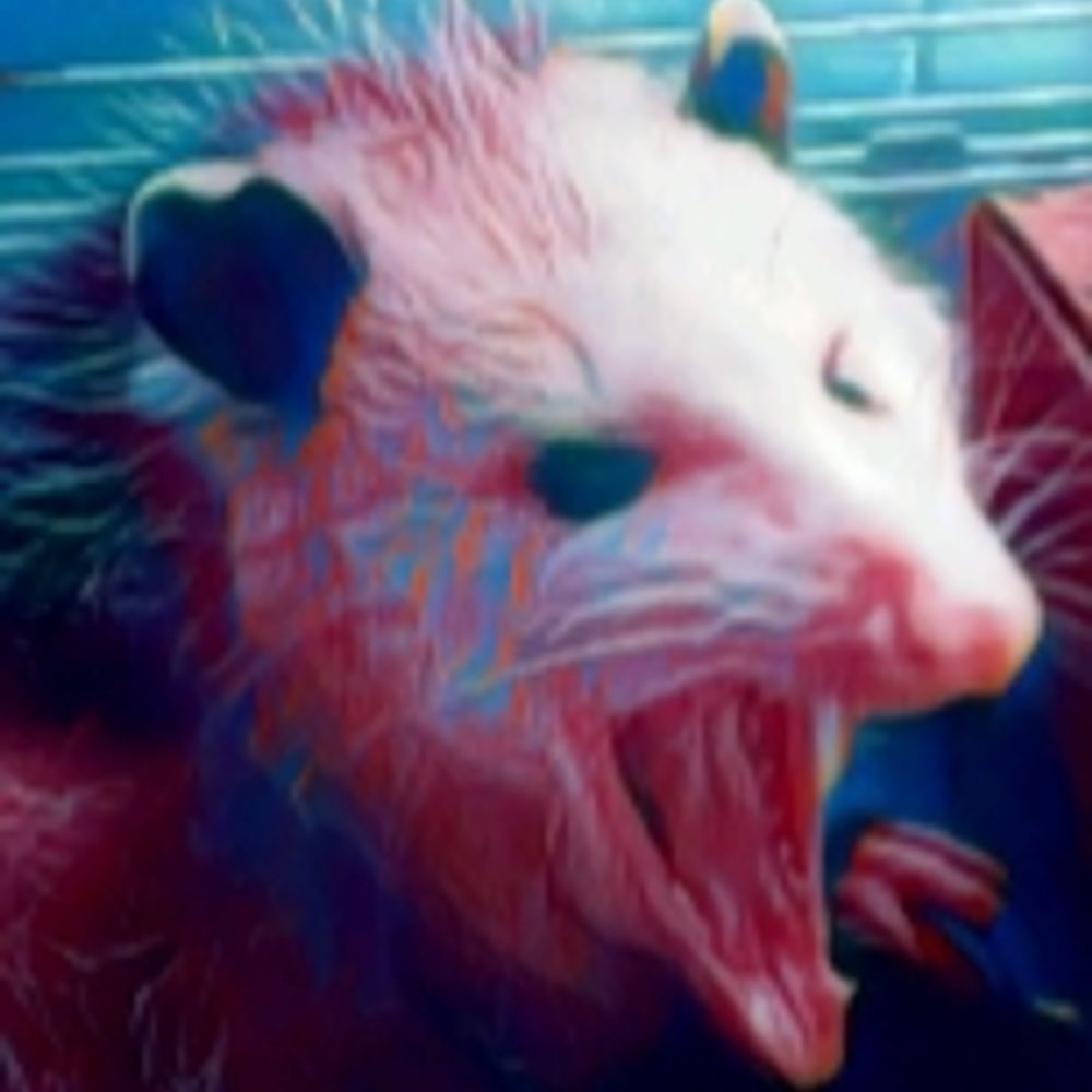 Possum Grease 's avatar