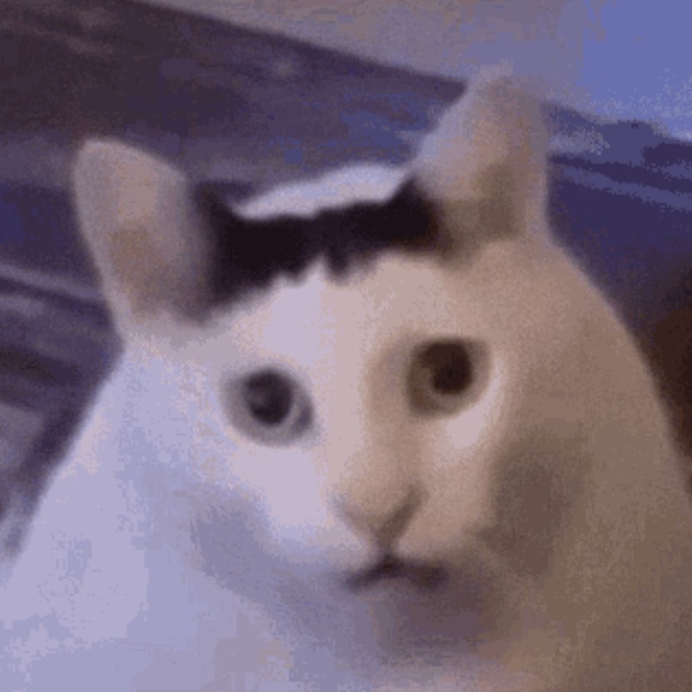 メンヘラ