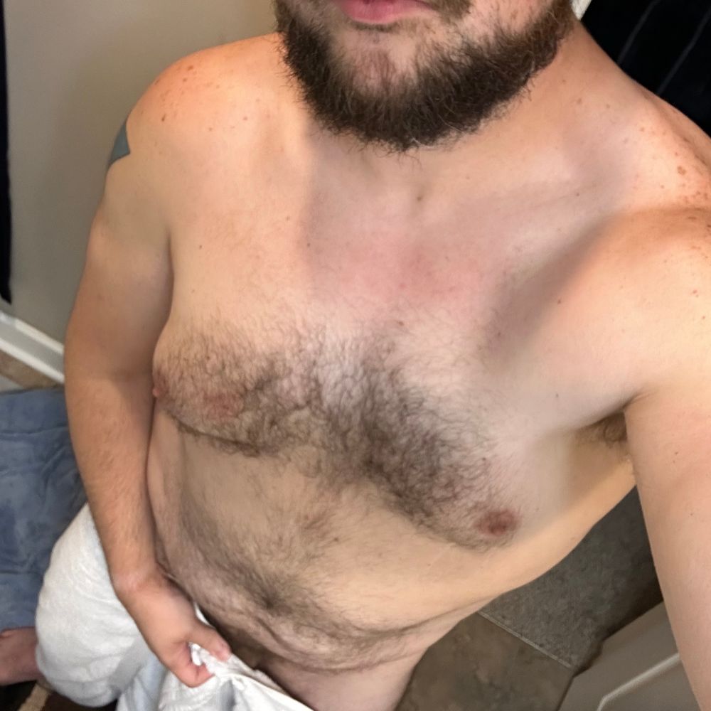 KY Bear