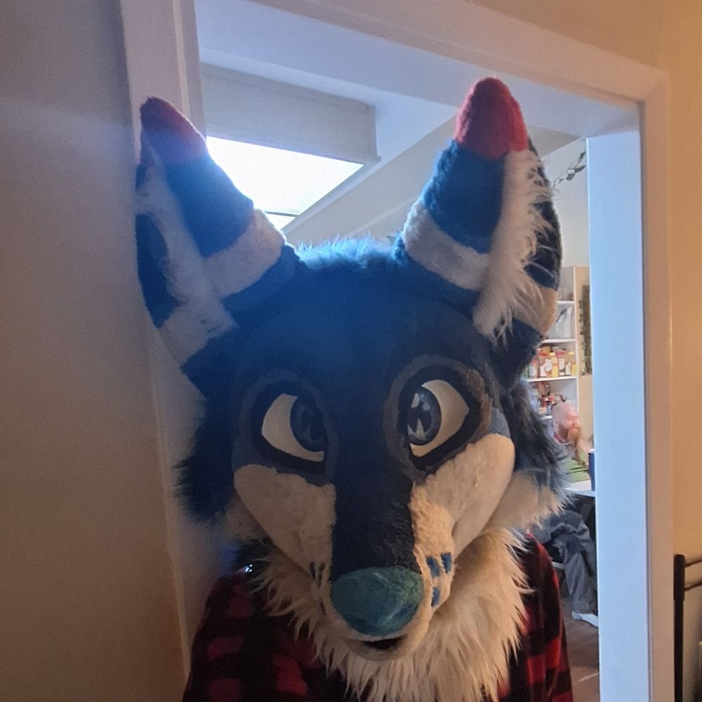 KyoTheJetsFox