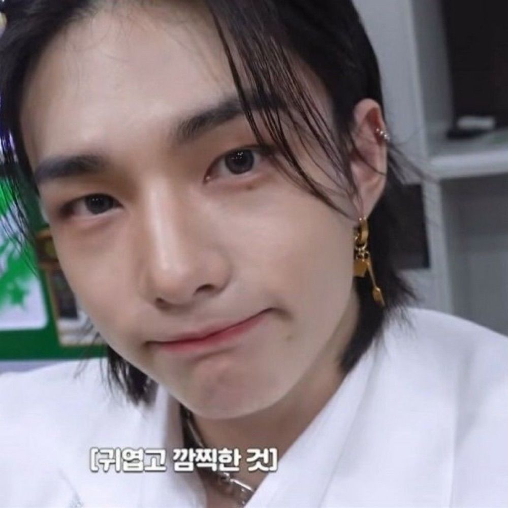 보히¨̮