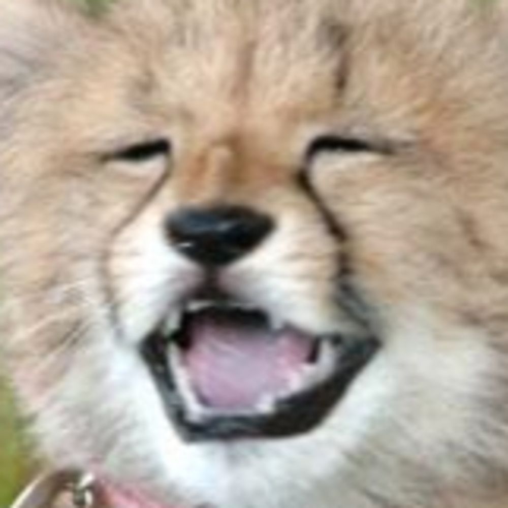 HEFUFUF