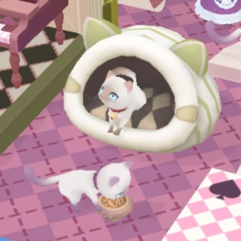 すのう
