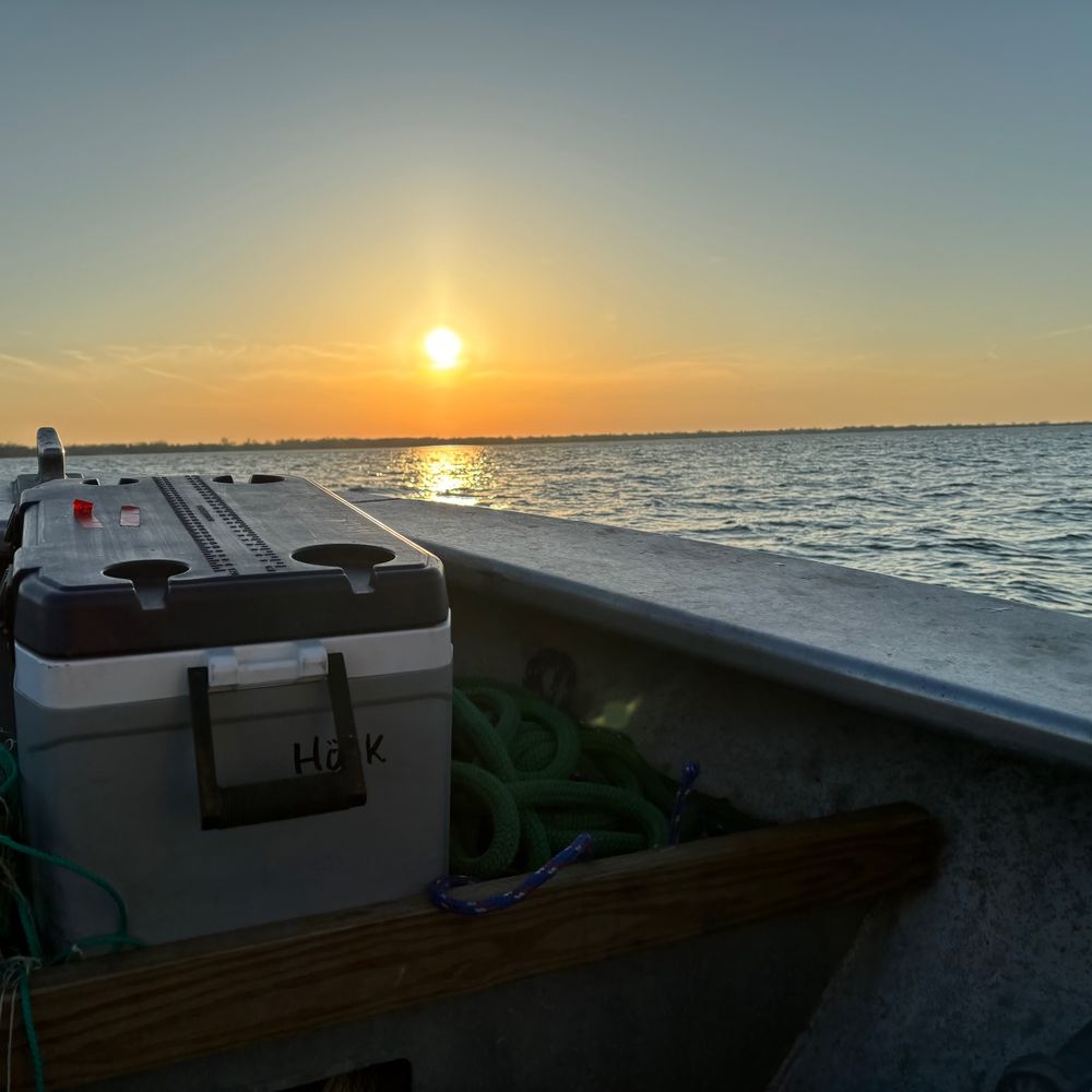 walleyeguy.bsky.social