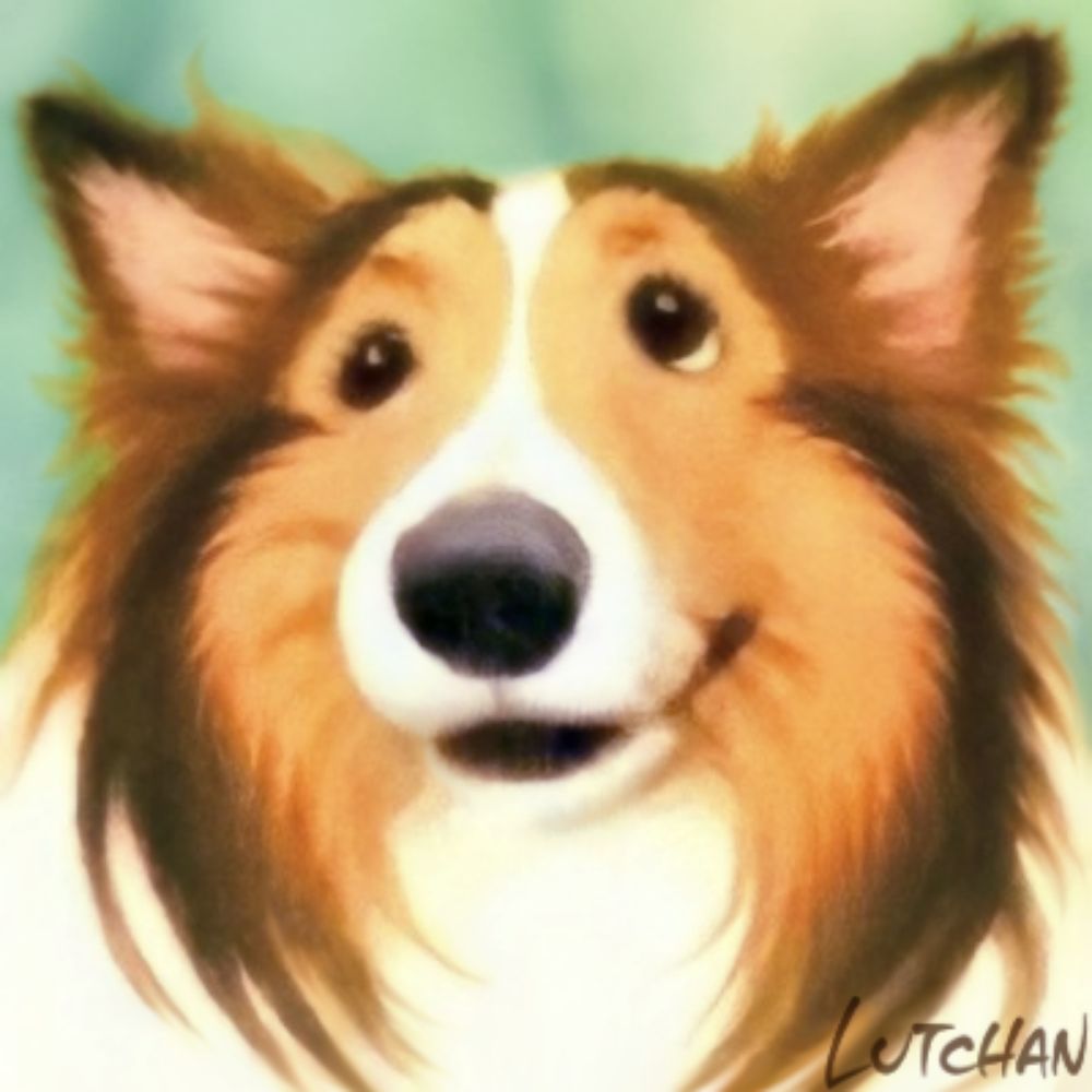 犬