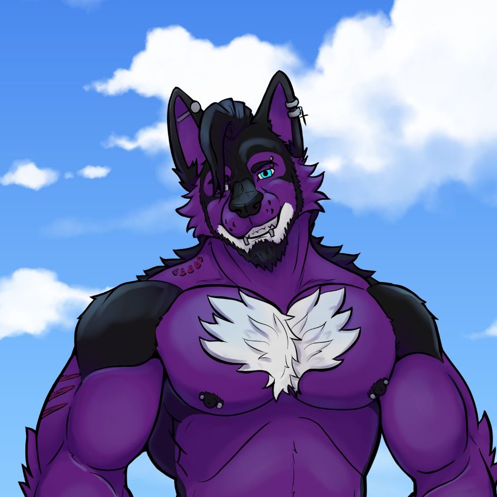 VeiledWorks➡️FWA
