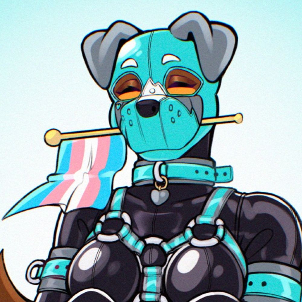 BratPupper/Scratch Pup 🏳️‍⚧️🔞