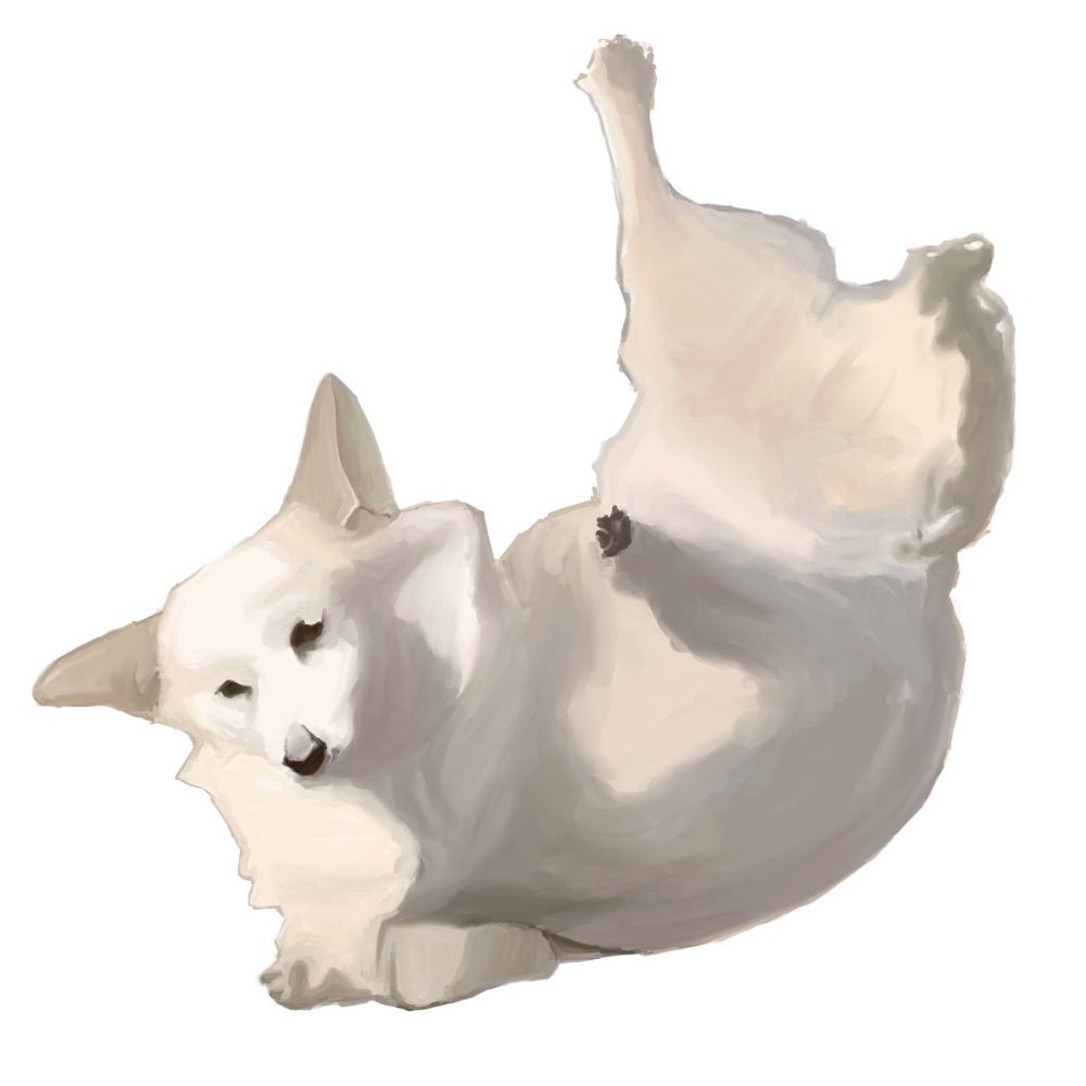 さんかく