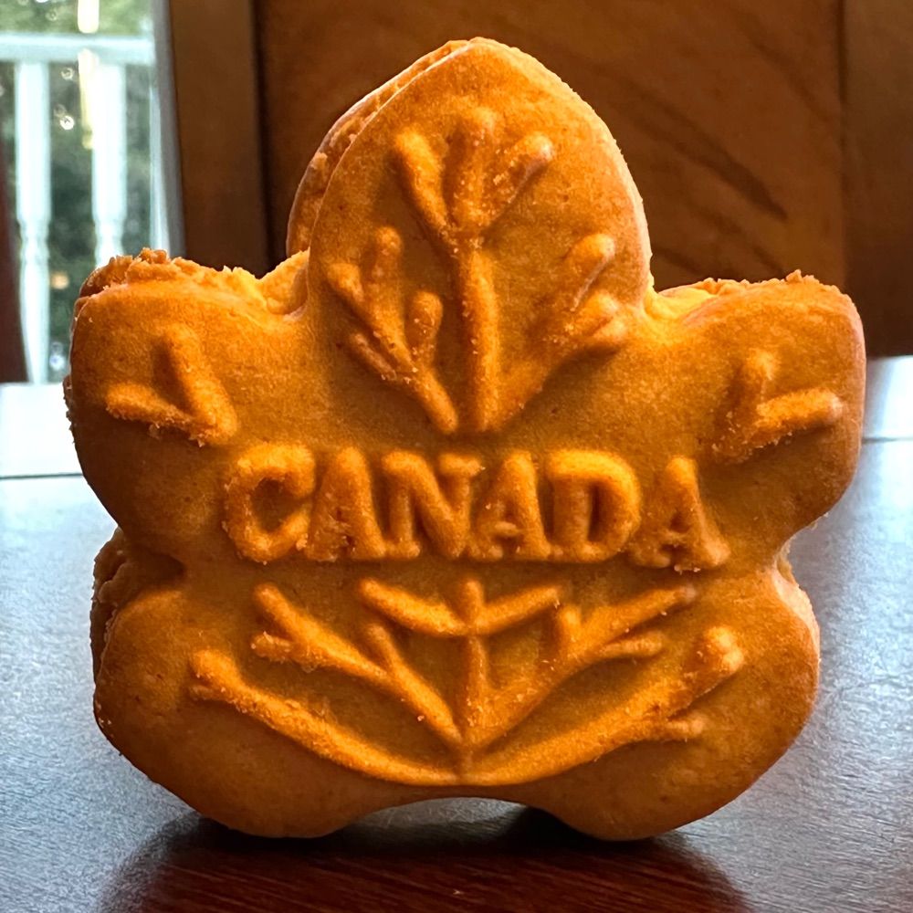 Andrea Peddle 🫐 🇨🇦