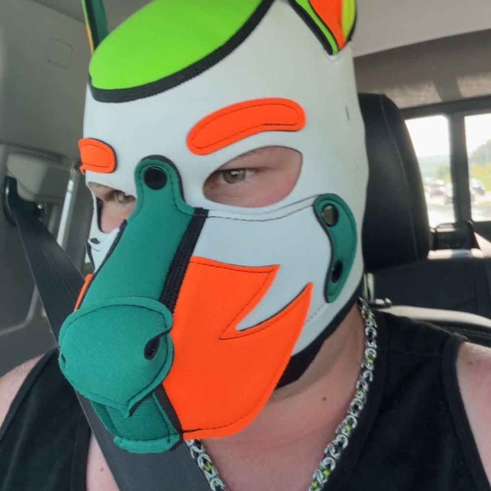 Pup Zaltan