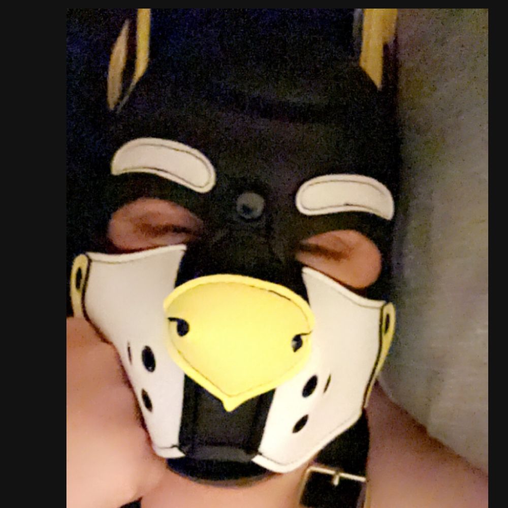 Pup Mattie