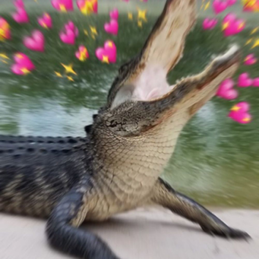 Alaskan Rotworm