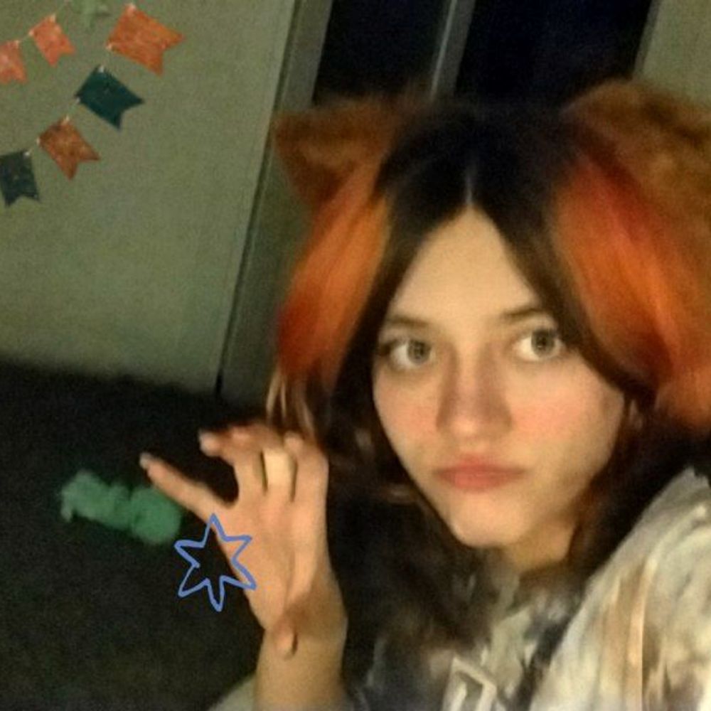 °‧͙⁺.VolcheLis🦊•°
