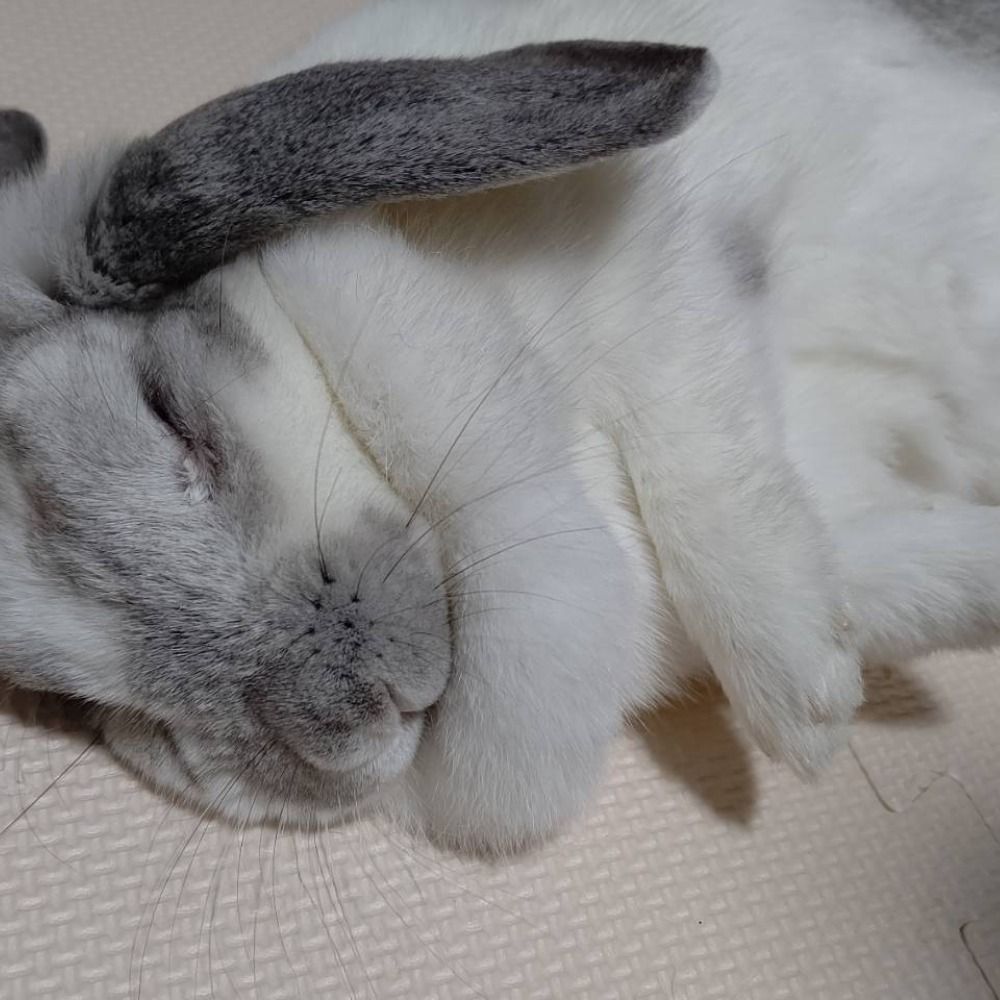 あずず