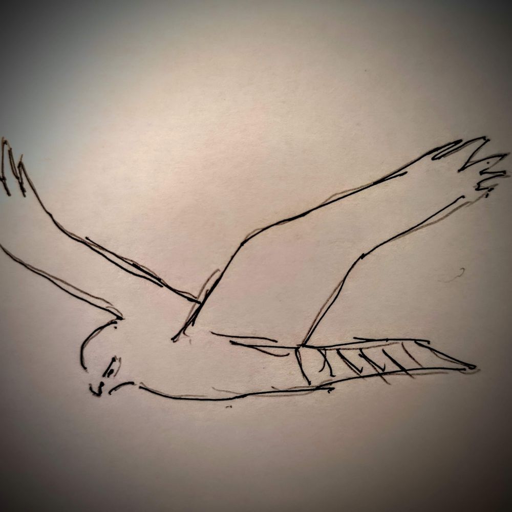 The Lesser Twitcher