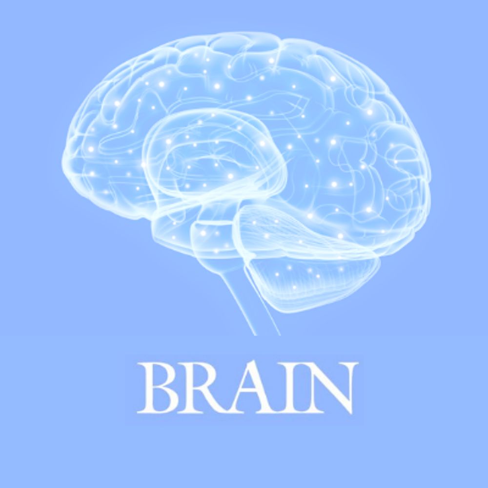 Profile picture brain1878.bsky.social