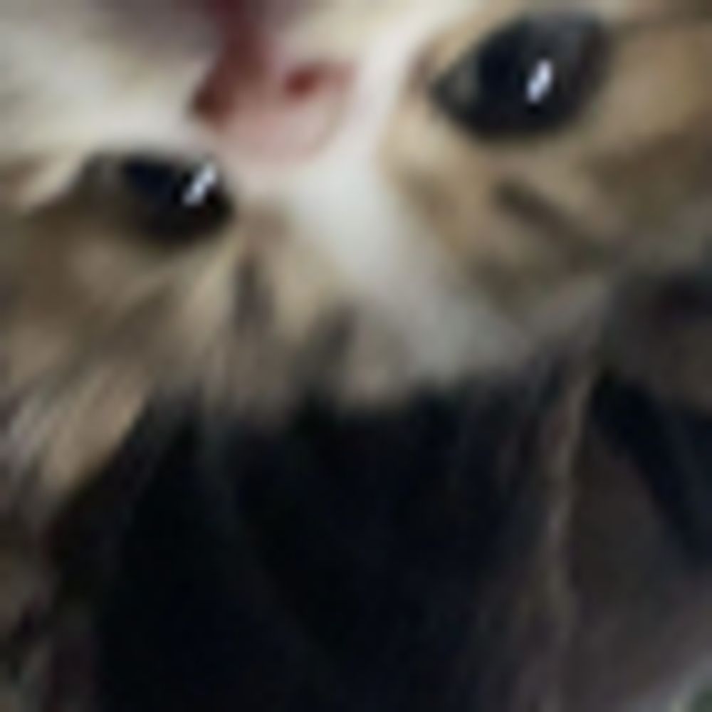 ItsSuski | NA Twitch Streamer/Music Producer