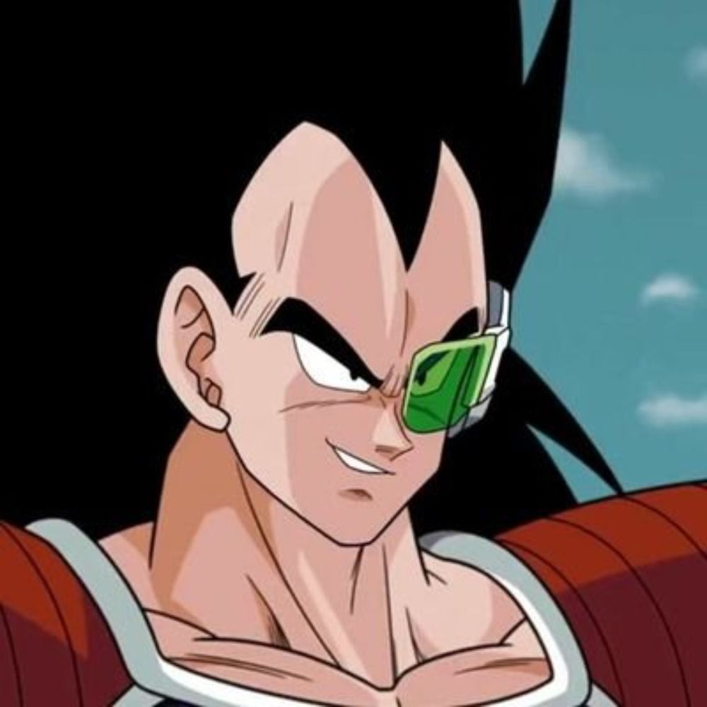Raditz1504