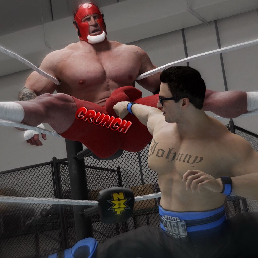 FighterNuts 