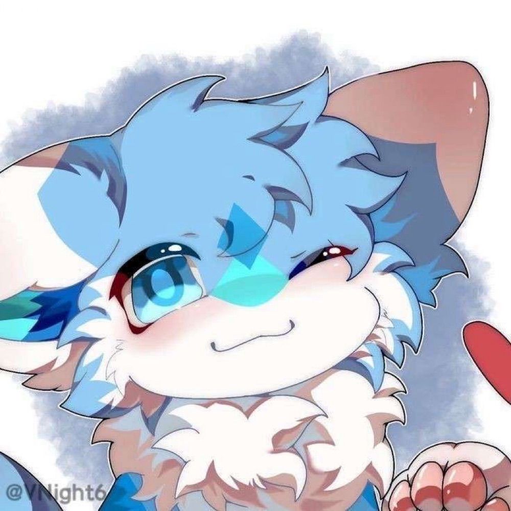 小白