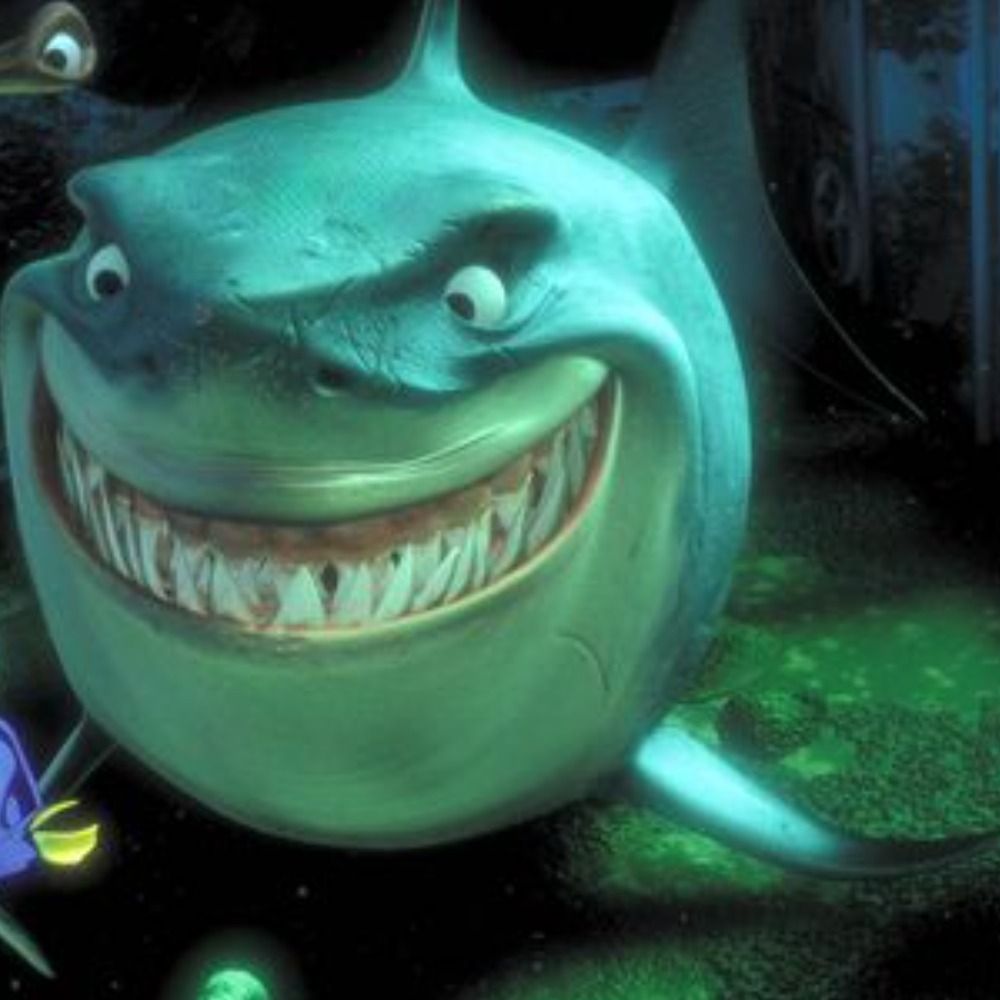 Bruce M. Stevenson 🦈🦈🦈