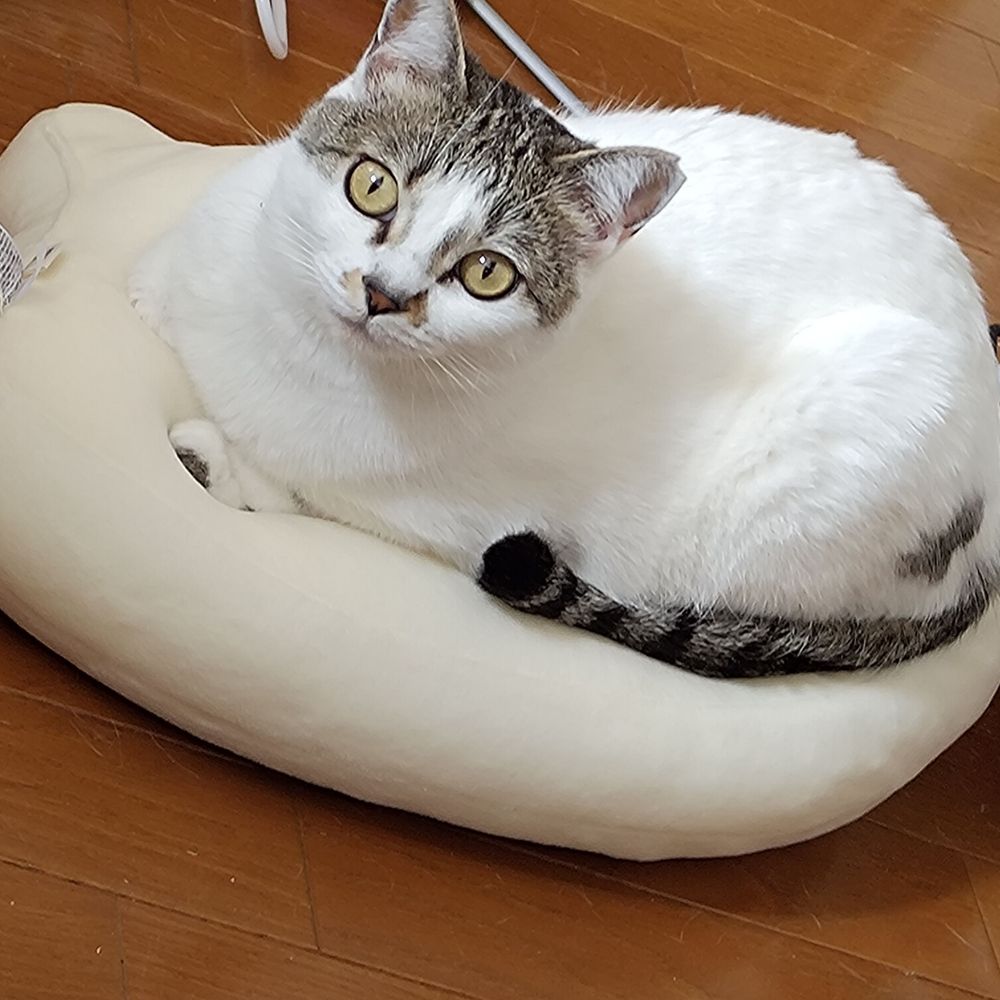 ゆうせん